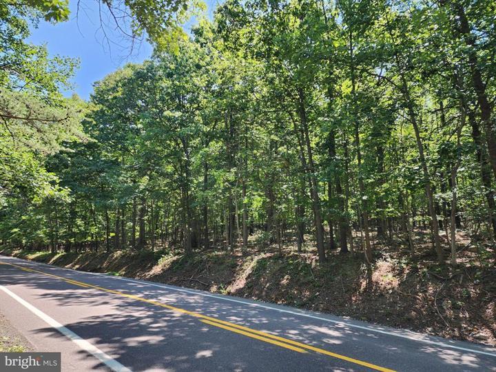 8 CACAPON ROAD, PAW PAW - Photo 20 of 25