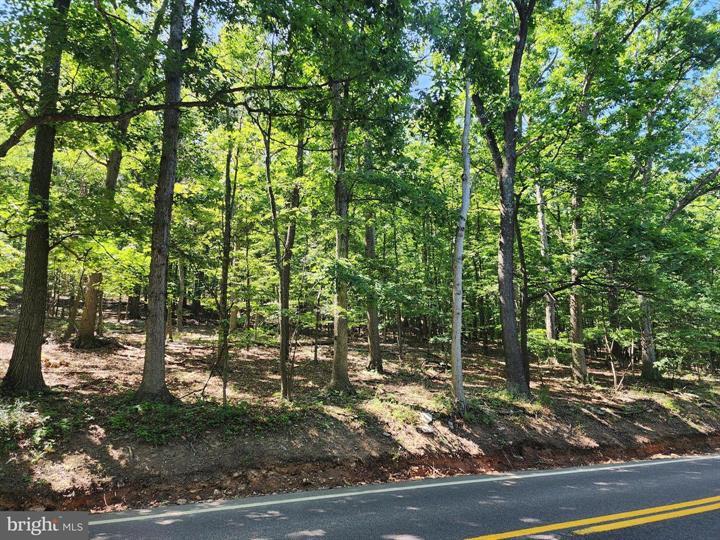 8 CACAPON ROAD, PAW PAW - Photo 2 of 25