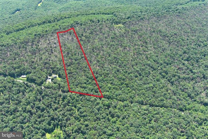 8 CACAPON ROAD, PAW PAW - Photo 5 of 25