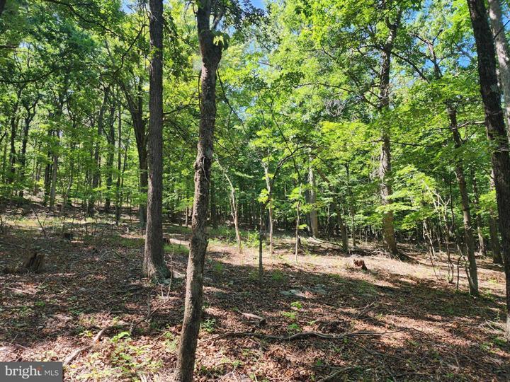 8 CACAPON ROAD, PAW PAW - Photo 6 of 25