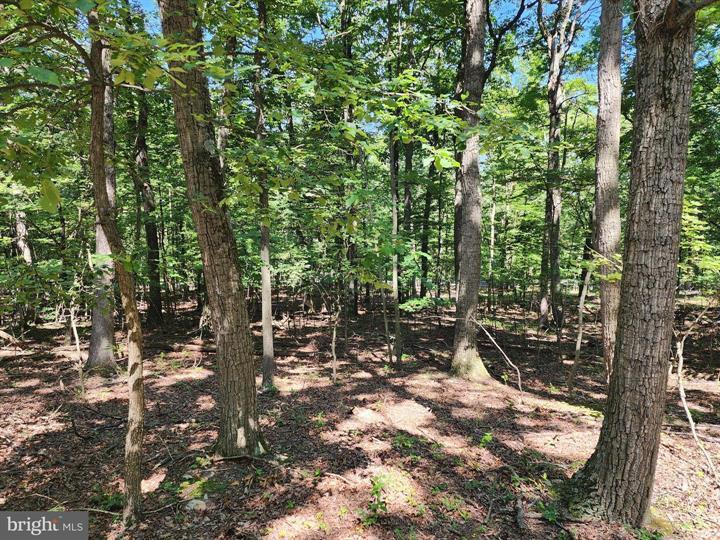 8 CACAPON ROAD, PAW PAW - Photo 14 of 25