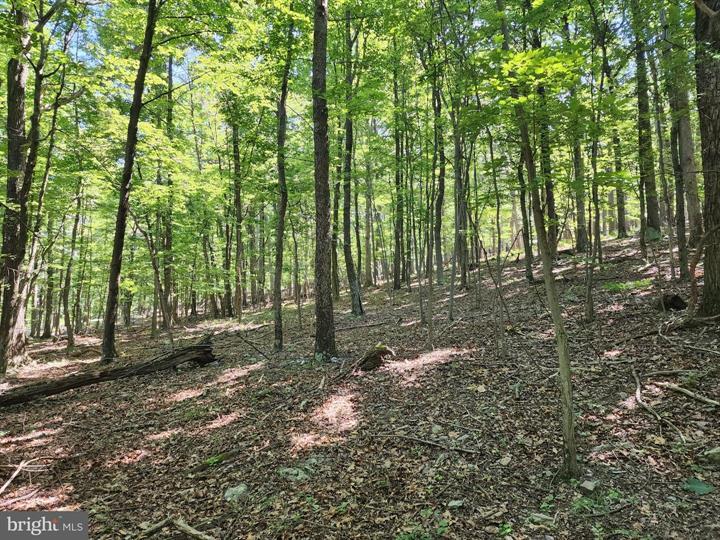 8 CACAPON ROAD, PAW PAW - Photo 17 of 25