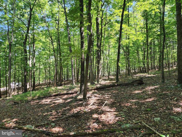 8 CACAPON ROAD, PAW PAW - Photo 16 of 25