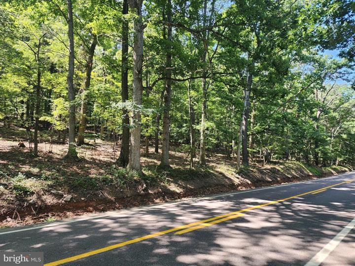 8 CACAPON ROAD, PAW PAW - Photo 4 of 25