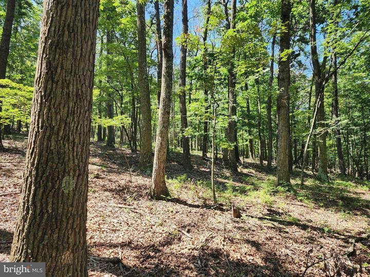 8 CACAPON ROAD, PAW PAW - Photo 13 of 25