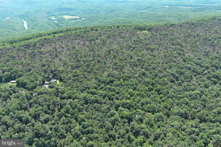 8 CACAPON ROAD, PAW PAW - Photo 24 of 25