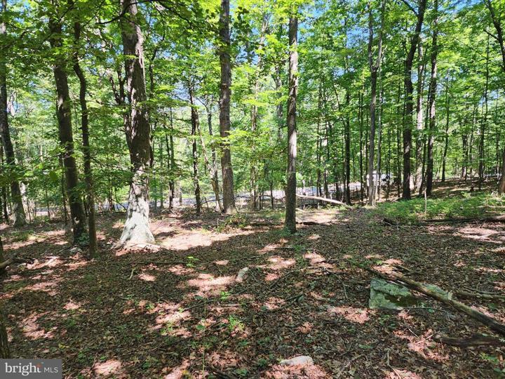 8 CACAPON ROAD, PAW PAW - Photo 18 of 25