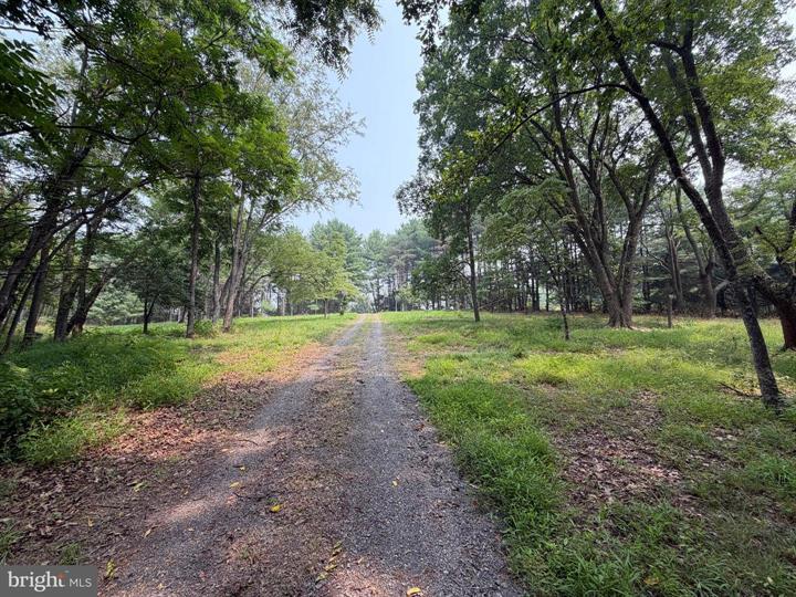 481 FELLER DRIVE, LEVELS - Photo 9 of 25
