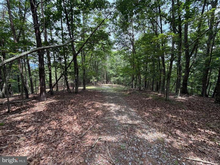 14 SHADOW KNOLLS, SPRINGFIELD - Photo 6 of 25