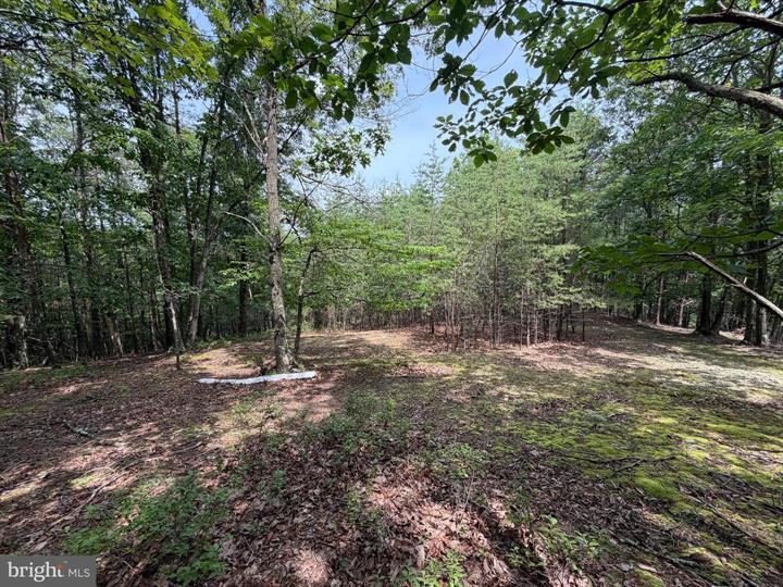 14 SHADOW KNOLLS, SPRINGFIELD - Photo 8 of 25
