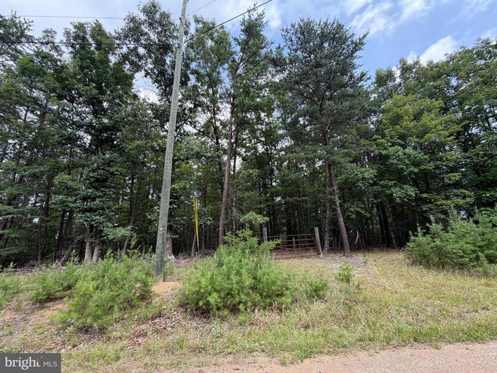 14 SHADOW KNOLLS, SPRINGFIELD - Photo 17 of 25