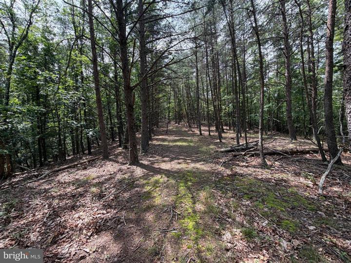 14 SHADOW KNOLLS, SPRINGFIELD - Photo 15 of 25