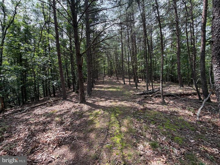 14 SHADOW KNOLLS, SPRINGFIELD - Photo 14 of 25