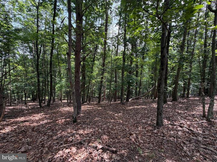 14 SHADOW KNOLLS, SPRINGFIELD - Photo 12 of 25