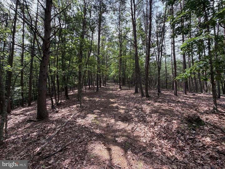 14 SHADOW KNOLLS, SPRINGFIELD - Photo 13 of 25