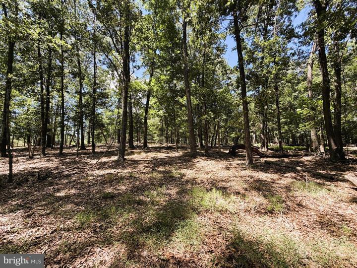 6 CACAPON VIEW, SLANESVILLE - Photo 21 of 25