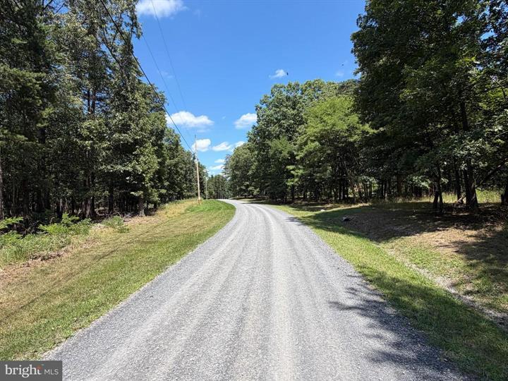 6 CACAPON VIEW, SLANESVILLE - Photo 12 of 25