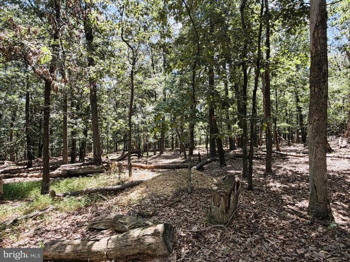 6 CACAPON VIEW, SLANESVILLE - Photo 16 of 25