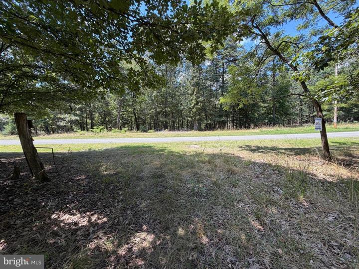 6 CACAPON VIEW, SLANESVILLE - Photo 22 of 25