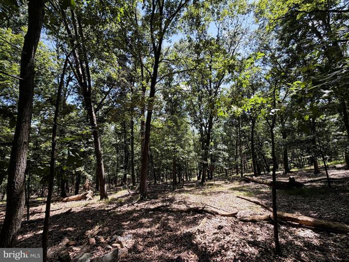 6 CACAPON VIEW, SLANESVILLE - Photo 18 of 25