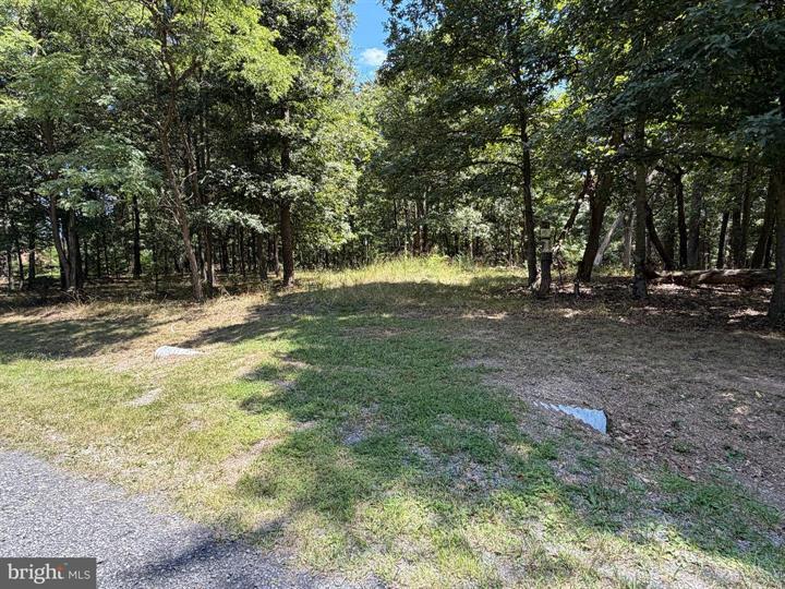 6 CACAPON VIEW, SLANESVILLE - Photo 13 of 25