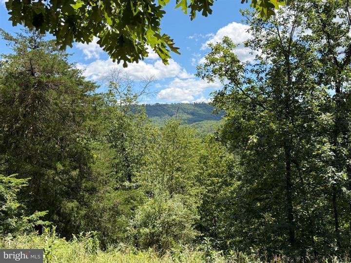 9 LONG ACRE ESTATES, ROMNEY - Photo 14 of 25