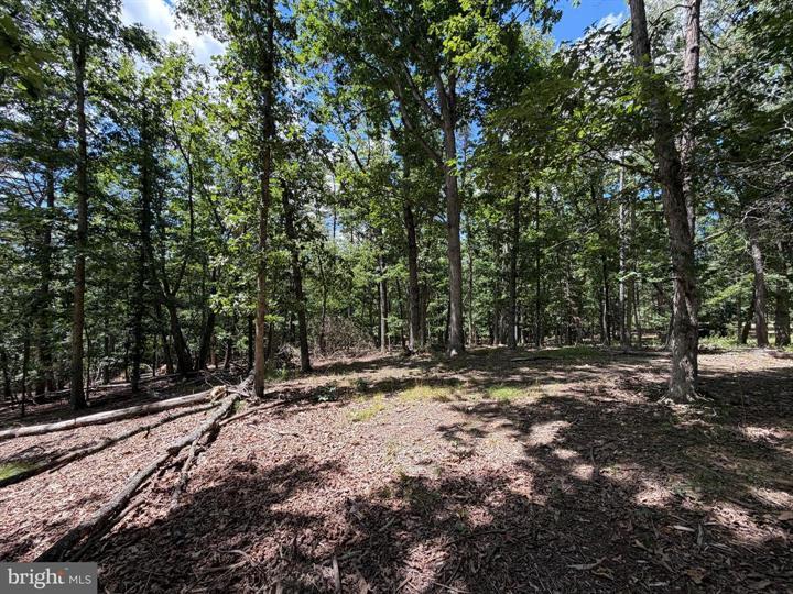 9 LONG ACRE ESTATES, ROMNEY - Photo 12 of 25