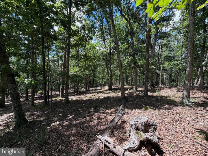 9 LONG ACRE ESTATES, ROMNEY - Photo 11 of 25