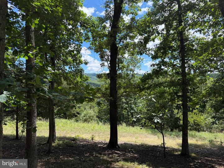 9 LONG ACRE ESTATES, ROMNEY - Photo 9 of 25