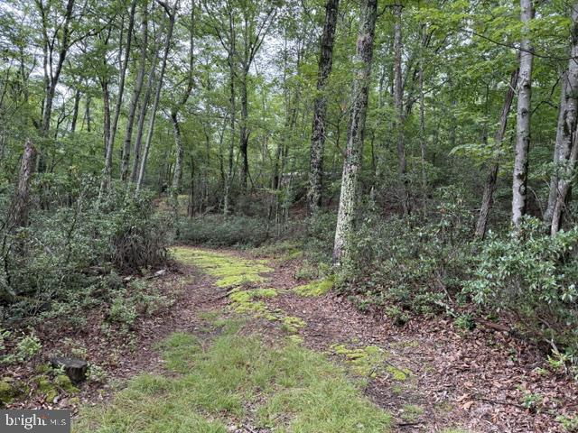 69 SKY DRIVE, FRANKLIN - Photo 22 of 24