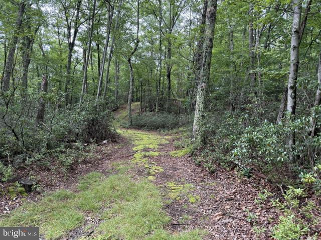 69 SKY DRIVE, FRANKLIN - Photo 21 of 24