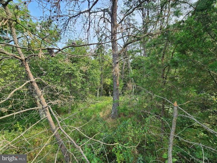 QUIVEY'S GROVE, ROMNEY - Photo 25 of 25