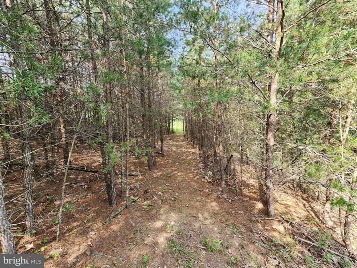 QUIVEY'S GROVE, ROMNEY - Photo 18 of 25