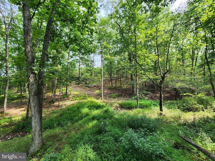 QUIVEY'S GROVE, ROMNEY - Photo 9 of 25