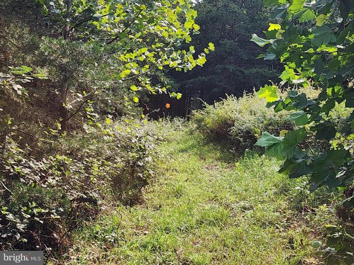 QUIVEY'S GROVE, ROMNEY - Photo 16 of 25
