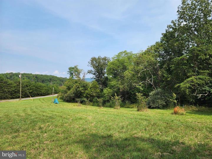 QUIVEY'S GROVE, ROMNEY - Photo 14 of 25