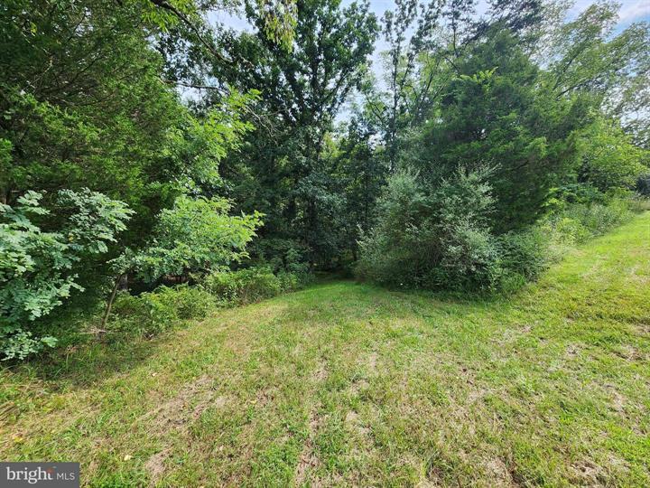 QUIVEY'S GROVE, ROMNEY - Photo 5 of 25