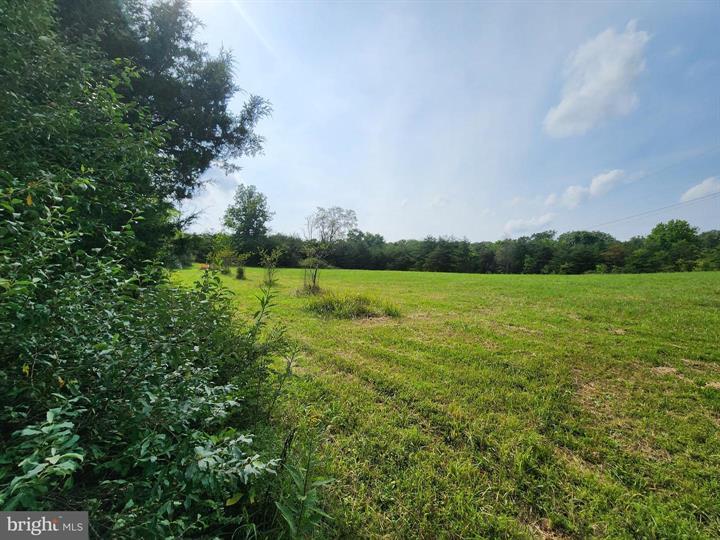 QUIVEY'S GROVE, ROMNEY - Photo 12 of 25