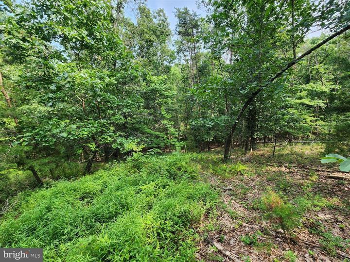 QUIVEY'S GROVE, ROMNEY - Photo 20 of 25