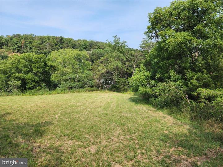 QUIVEY'S GROVE, ROMNEY - Photo 23 of 25
