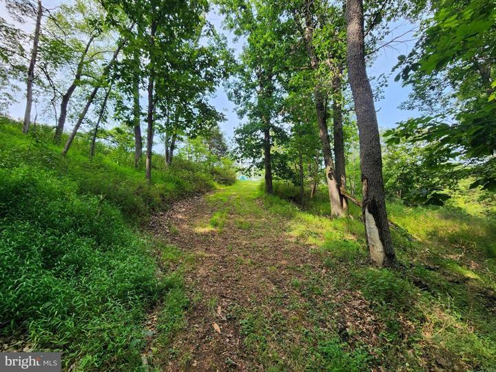 QUIVEY'S GROVE, ROMNEY - Photo 11 of 25