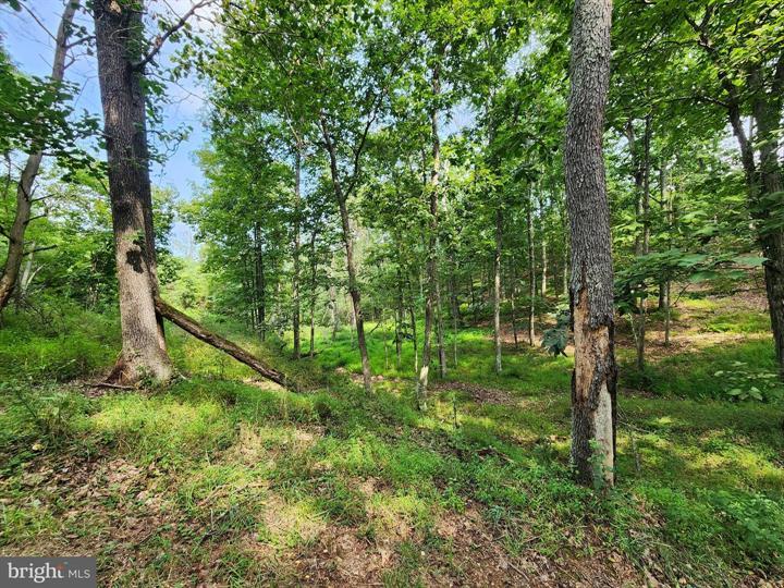QUIVEY'S GROVE, ROMNEY - Photo 7 of 25