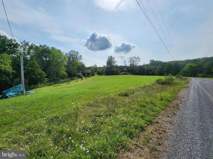 QUIVEY'S GROVE, ROMNEY - Photo 3 of 25