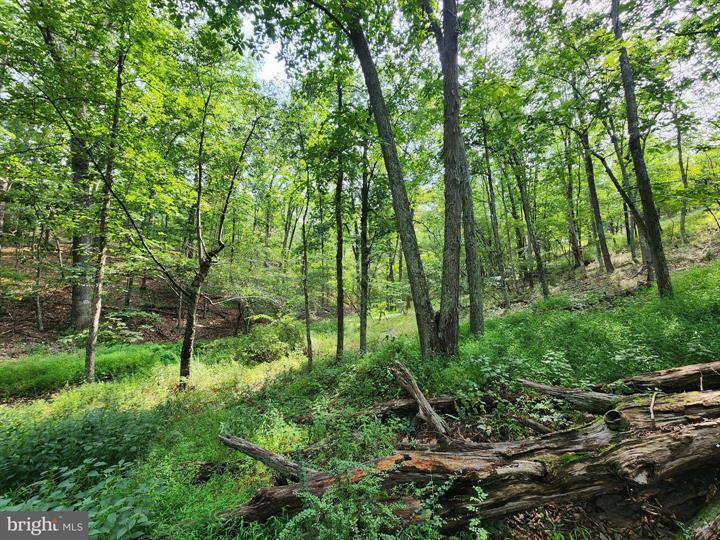 QUIVEY'S GROVE, ROMNEY - Photo 8 of 25