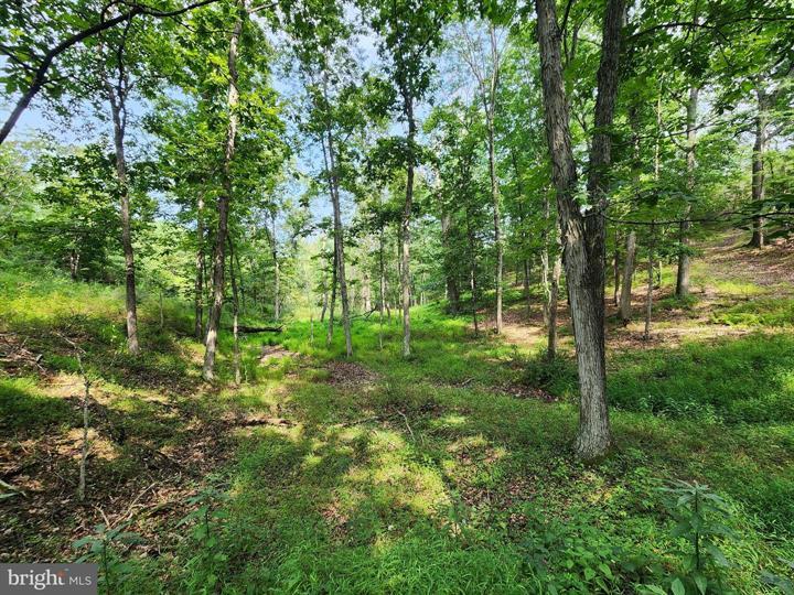 QUIVEY'S GROVE, ROMNEY - Photo 10 of 25