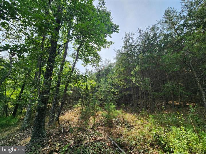 QUIVEY'S GROVE, ROMNEY - Photo 19 of 25