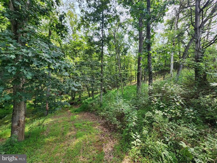 QUIVEY'S GROVE, ROMNEY - Photo 6 of 25