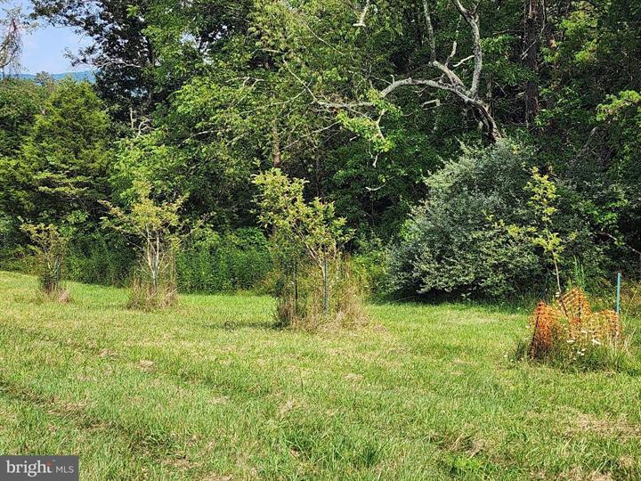 QUIVEY'S GROVE, ROMNEY - Photo 15 of 25