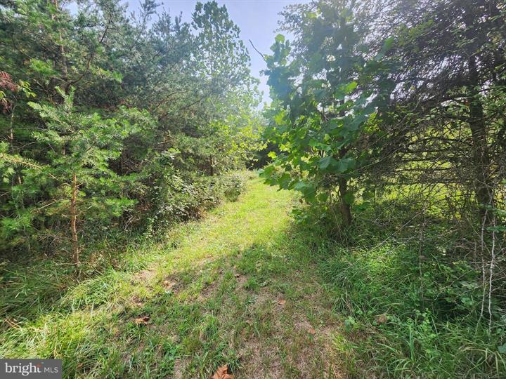 QUIVEY'S GROVE, ROMNEY - Photo 17 of 25