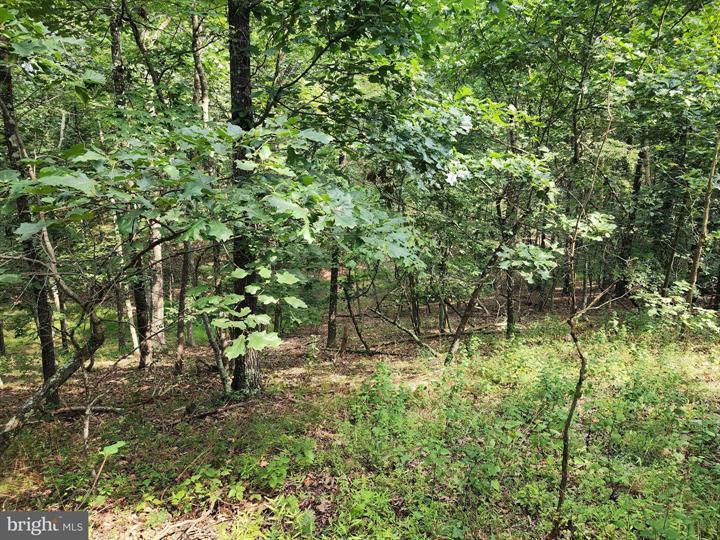 QUIVEY'S GROVE, ROMNEY - Photo 22 of 25